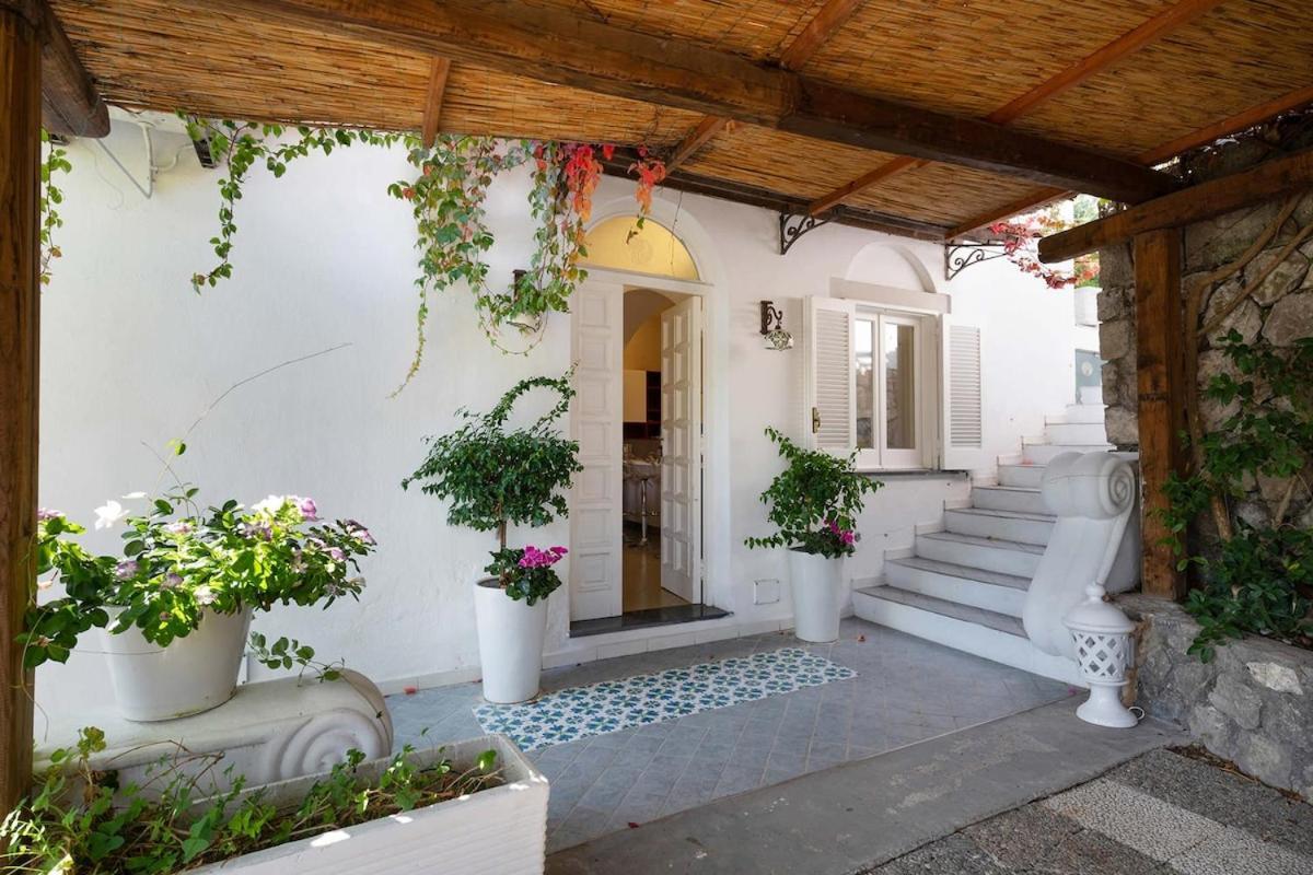 Villa Marinella Close To The Sea With Private Pool Nerano Eksteriør bilde
